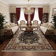 Abeer Black & Maroon Iranian Rug