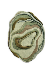 Eden Hand Tufted Area Rug Irregular Shape Carpet